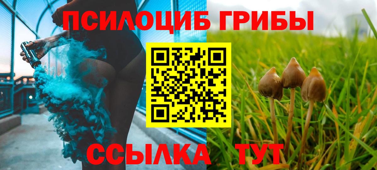 Мариинск  Галлюциногенные грибы мухоморы  Вход с VPN 